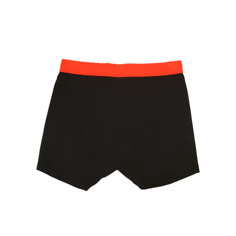 Bamboo Viscose-Dyed Boxer Briefs for Boys